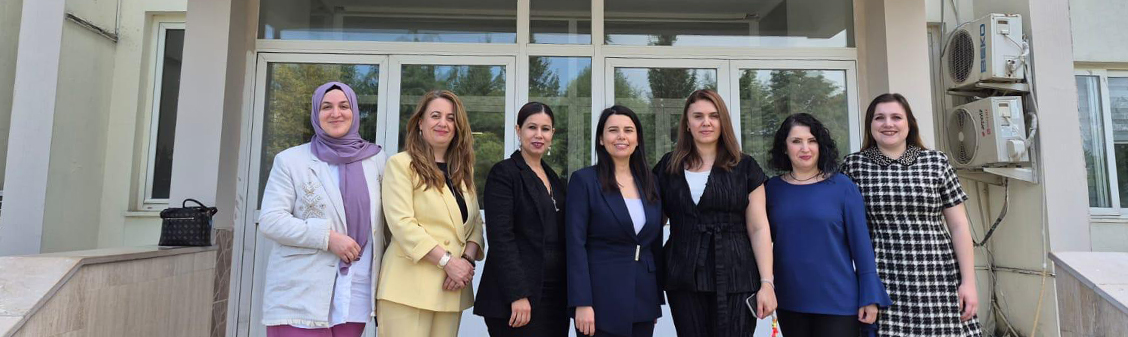 Açıklama Yok